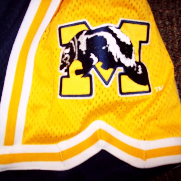 MICHIGAN WOLVERINES STARTER SHORTS BLUE & YELLOW - Picture 5 of 12